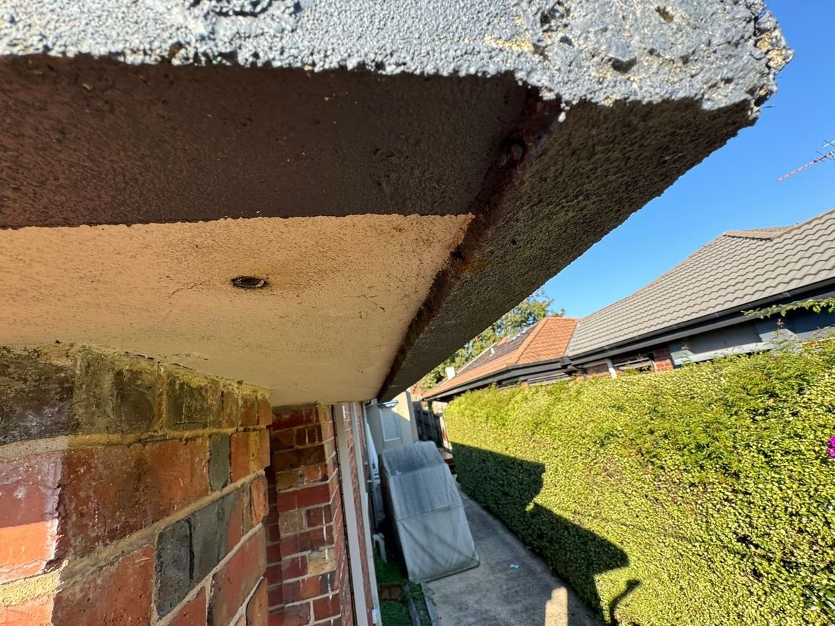 D5E0E442-0C97-485E-B458-E6790C20F8E1.jpeg D5E0E442-0C97-485E-B458-E6790C20F8E1.jpeg