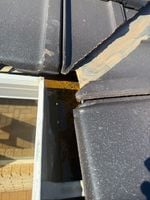 S__4284423_0.jpg S__4284423_0.jpg