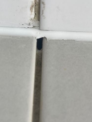 IMG_1533.jpeg IMG_1533.jpeg