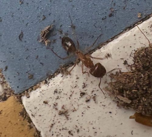 IMG_7396.jpeg IMG_7396.jpeg