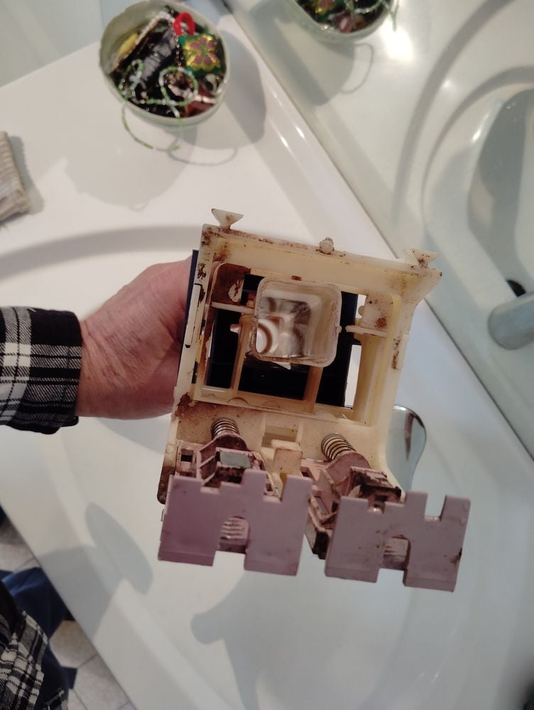 IMG_20250713_111648.jpg IMG_20250713_111648.jpg