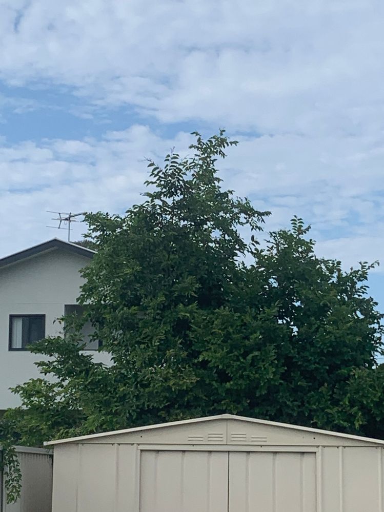 IMG_1448.jpg IMG_1448.jpg