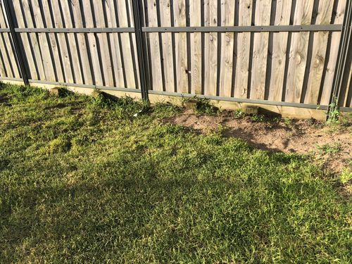 9891B529-4B93-45F8-B61D-C40405766424.jpeg 9891B529-4B93-45F8-B61D-C40405766424.jpeg