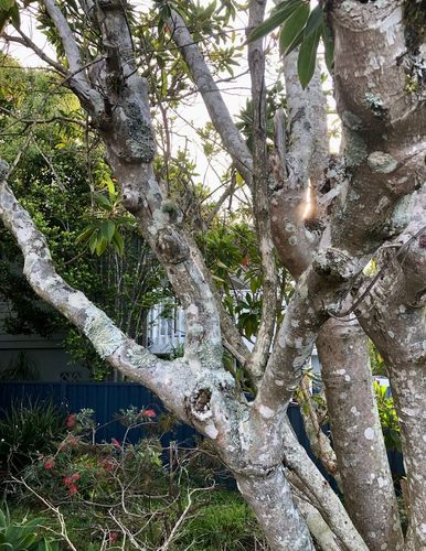 4ACB9EDE-A7F7-4E7E-81C0-84B15A3DA90D.jpeg 4ACB9EDE-A7F7-4E7E-81C0-84B15A3DA90D.jpeg