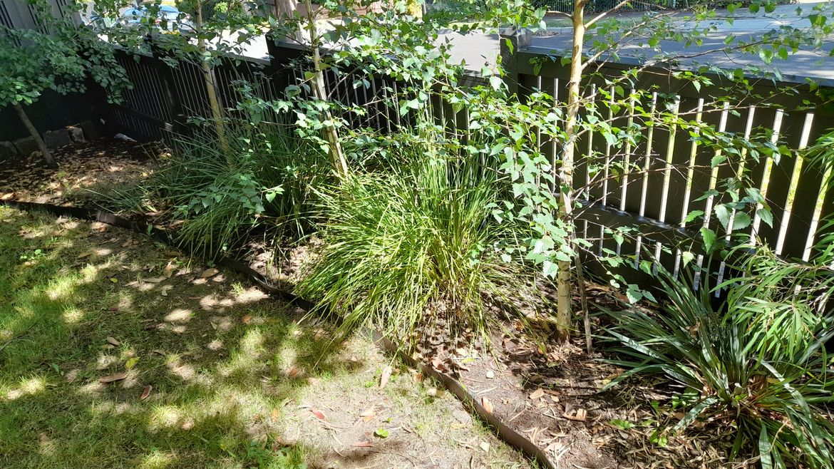 20260102_154555.jpg 20260102_154555.jpg