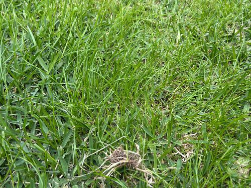 IMG_4846.jpeg IMG_4846.jpeg