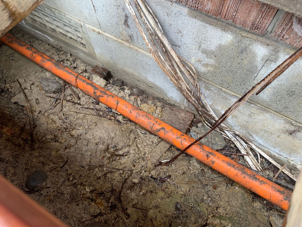 IMG_7364.JPG IMG_7364.JPG