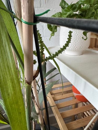 IMG_4048.jpeg IMG_4048.jpeg