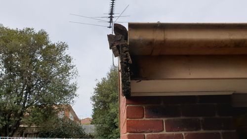 20200911_142118.jpg 20200911_142118.jpg