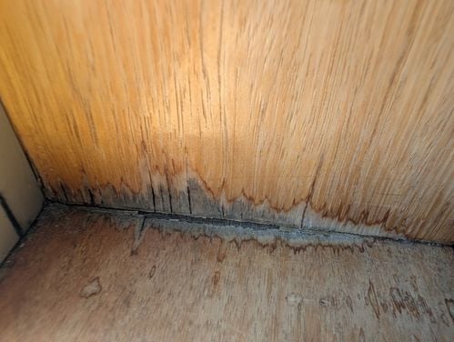 1000004778.jpg 1000004778.jpg