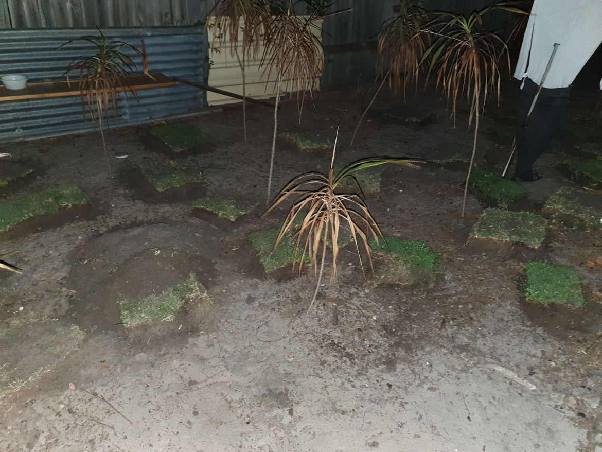 20210903_183430.jpg 20210903_183430.jpg