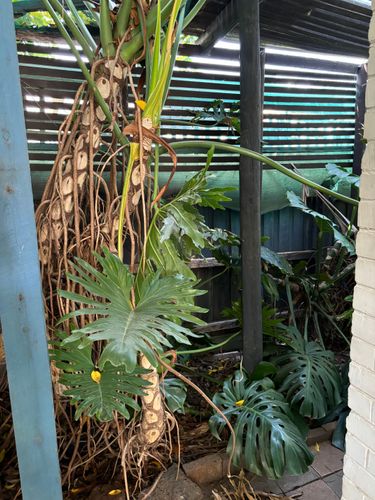 IMG_0538.jpeg IMG_0538.jpeg