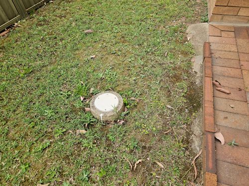 20241204_062916.jpg 20241204_062916.jpg