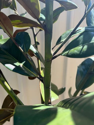 IMG_3254.jpeg IMG_3254.jpeg