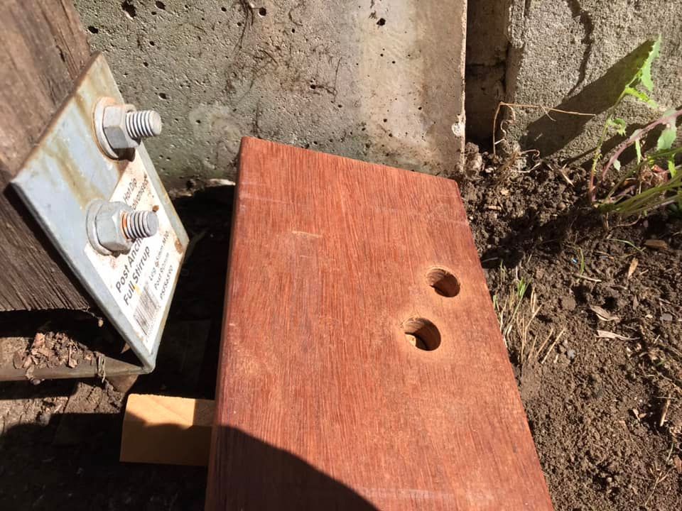 15 07-04-2023.jpg 15 07-04-2023.jpg