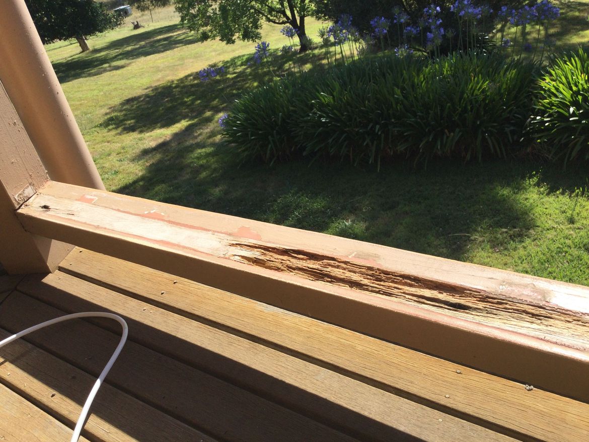 8F68A390-A274-44A4-9ED5-9A4C3F4FA45F.jpeg 8F68A390-A274-44A4-9ED5-9A4C3F4FA45F.jpeg