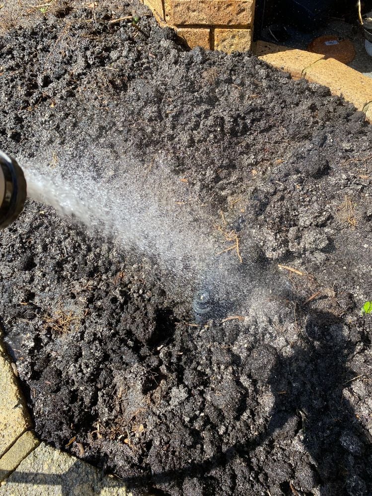 IMG_0831.jpeg IMG_0831.jpeg