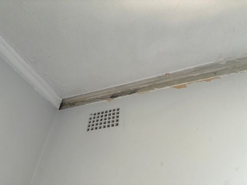 IMG_0586.jpeg IMG_0586.jpeg