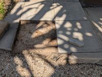 PXL_20250130_011725502.jpg PXL_20250130_011725502.jpg