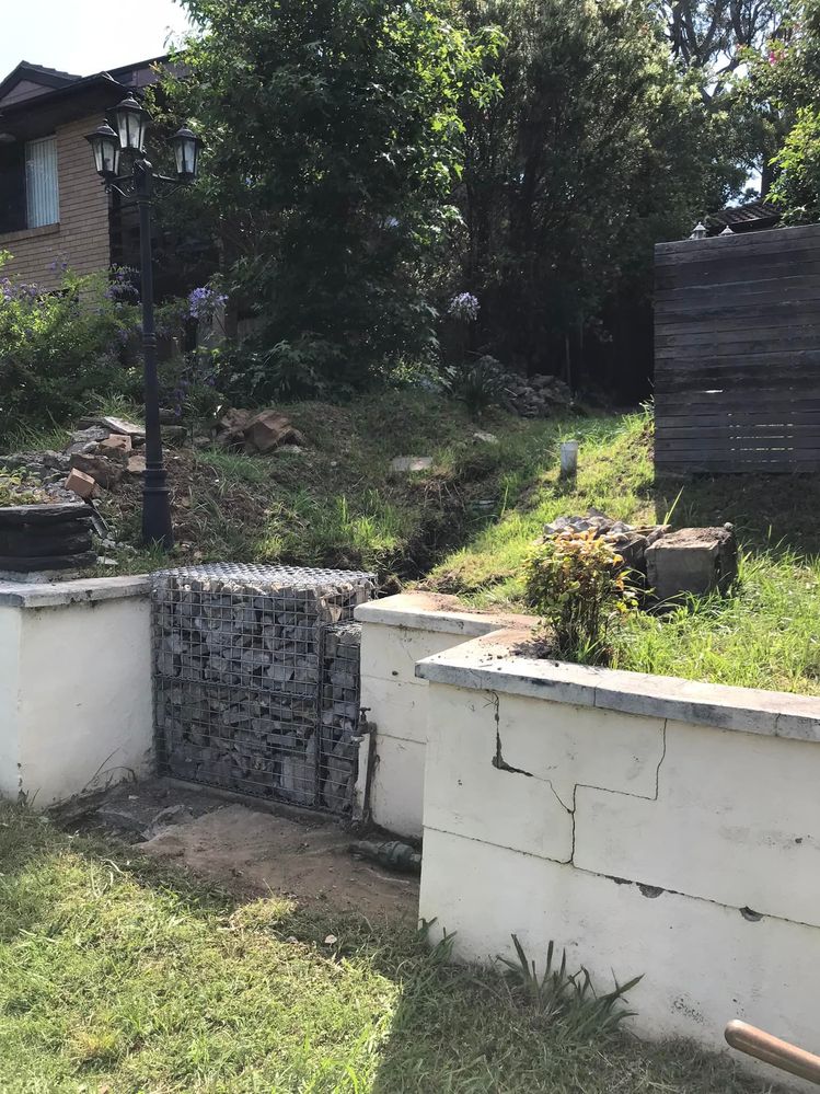 28 02-01-2022.jpg 28 02-01-2022.jpg