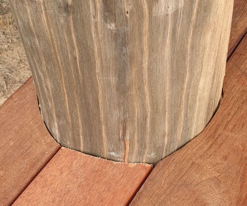 20220525_104215.jpg 20220525_104215.jpg