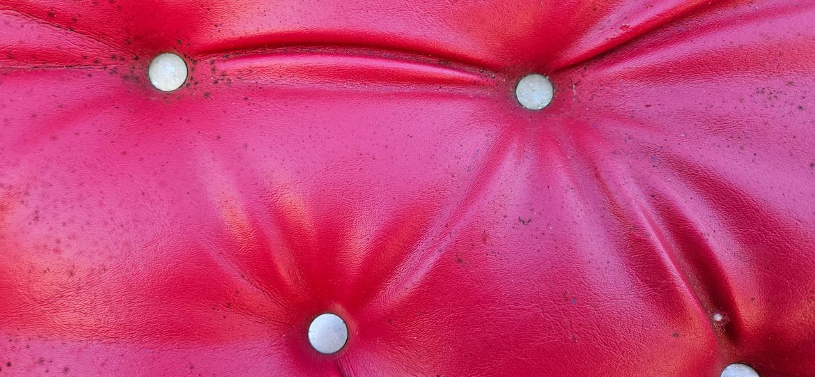 20241120_180245.jpg 20241120_180245.jpg