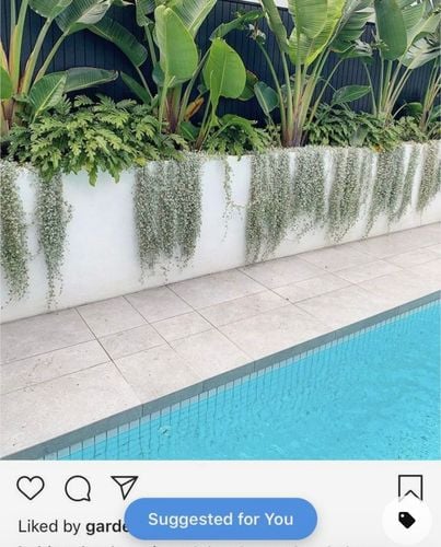 IMG_6651.jpeg IMG_6651.jpeg