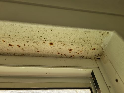 1000035380.jpg 1000035380.jpg