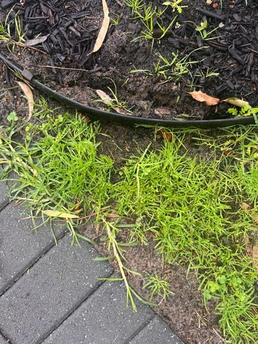 IMG_8632.jpeg IMG_8632.jpeg