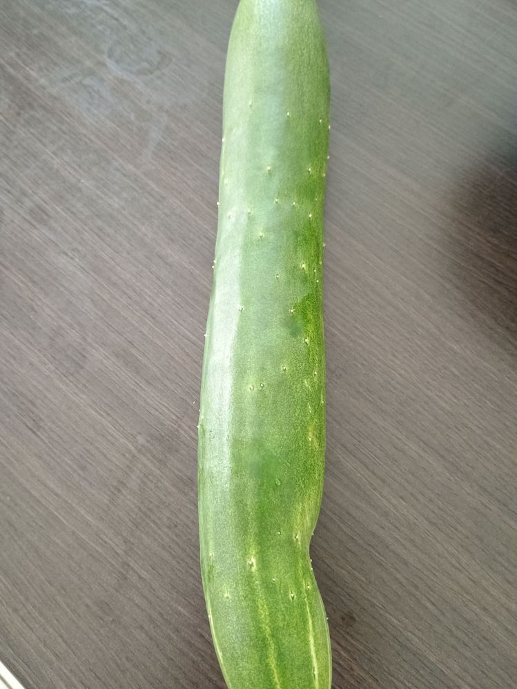 IMG_20251215_080117124.jpg IMG_20251215_080117124.jpg