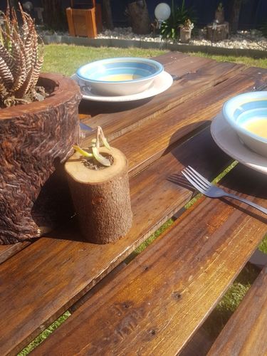 export1637201880541.jpg export1637201880541.jpg