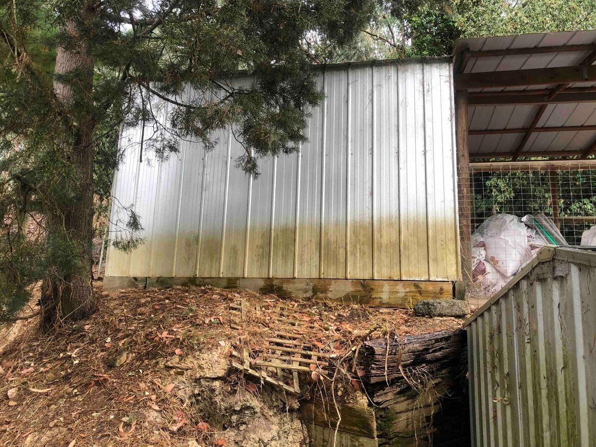 IMG_8493.jpeg IMG_8493.jpeg