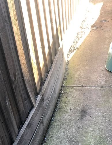 6C88AA0B-DA78-4088-AB8D-DB431253BA31.jpeg 6C88AA0B-DA78-4088-AB8D-DB431253BA31.jpeg