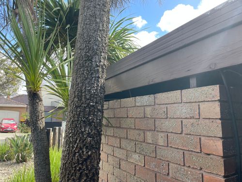 IMG_0952.jpeg IMG_0952.jpeg