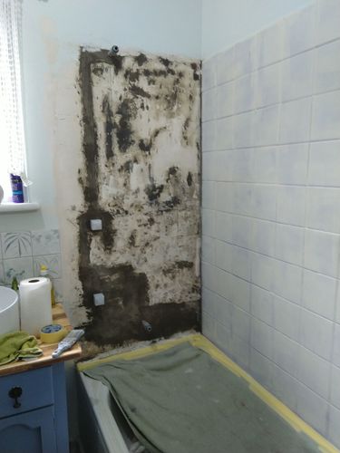 IMG_20211124_104525.jpg IMG_20211124_104525.jpg