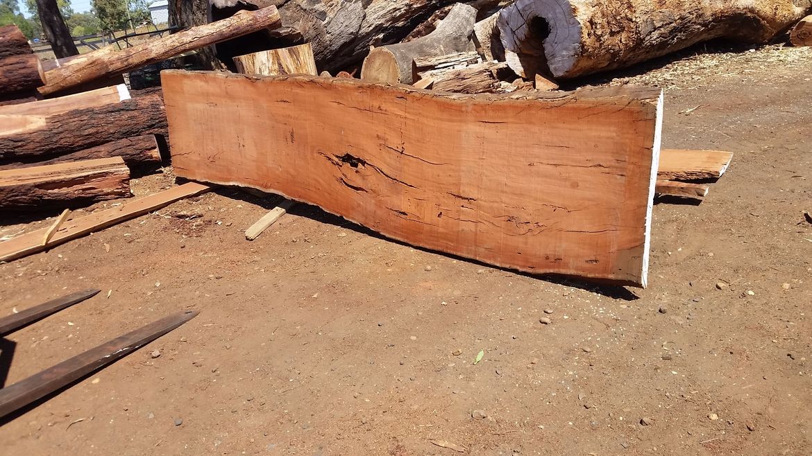 20191205_103931.jpg 20191205_103931.jpg