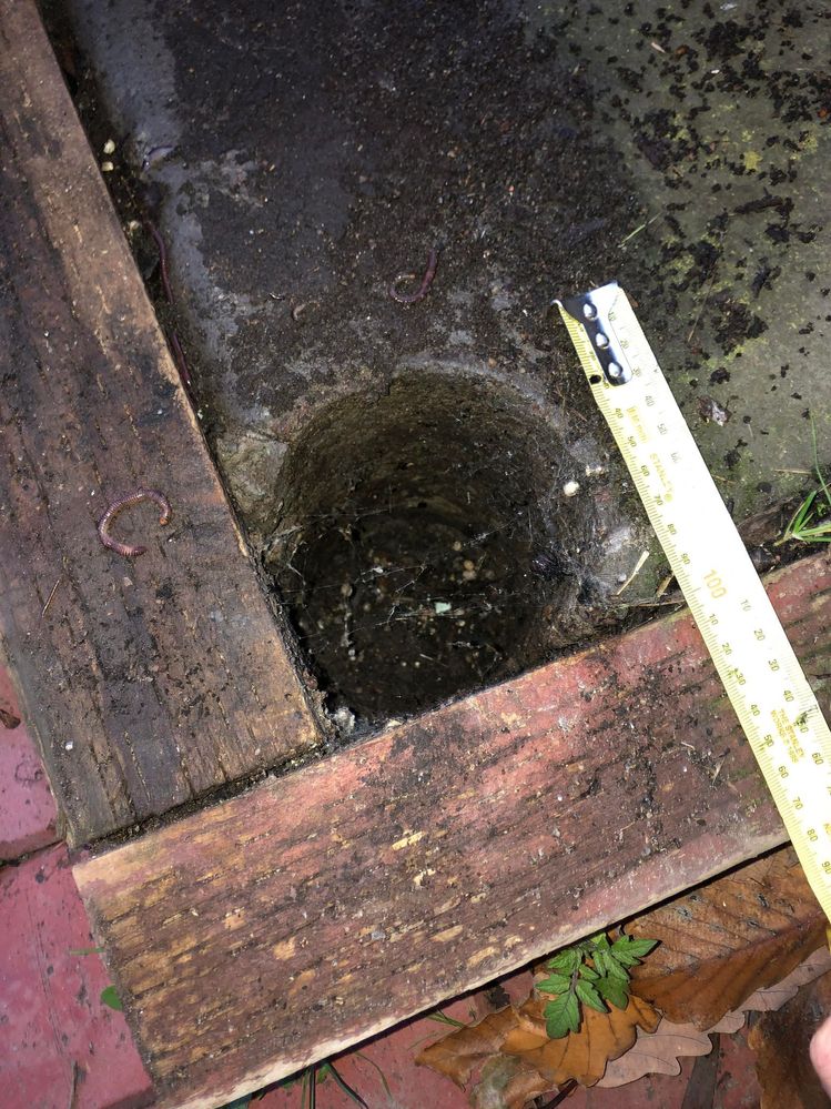 448104954_773696677930253_3657865500624458052_n.jpg 448104954_773696677930253_3657865500624458052_n.jpg