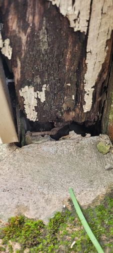 1000007347.jpg 1000007347.jpg