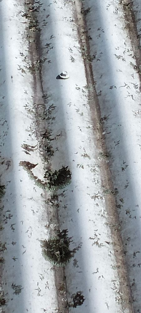 IMG20230331132113.jpg IMG20230331132113.jpg