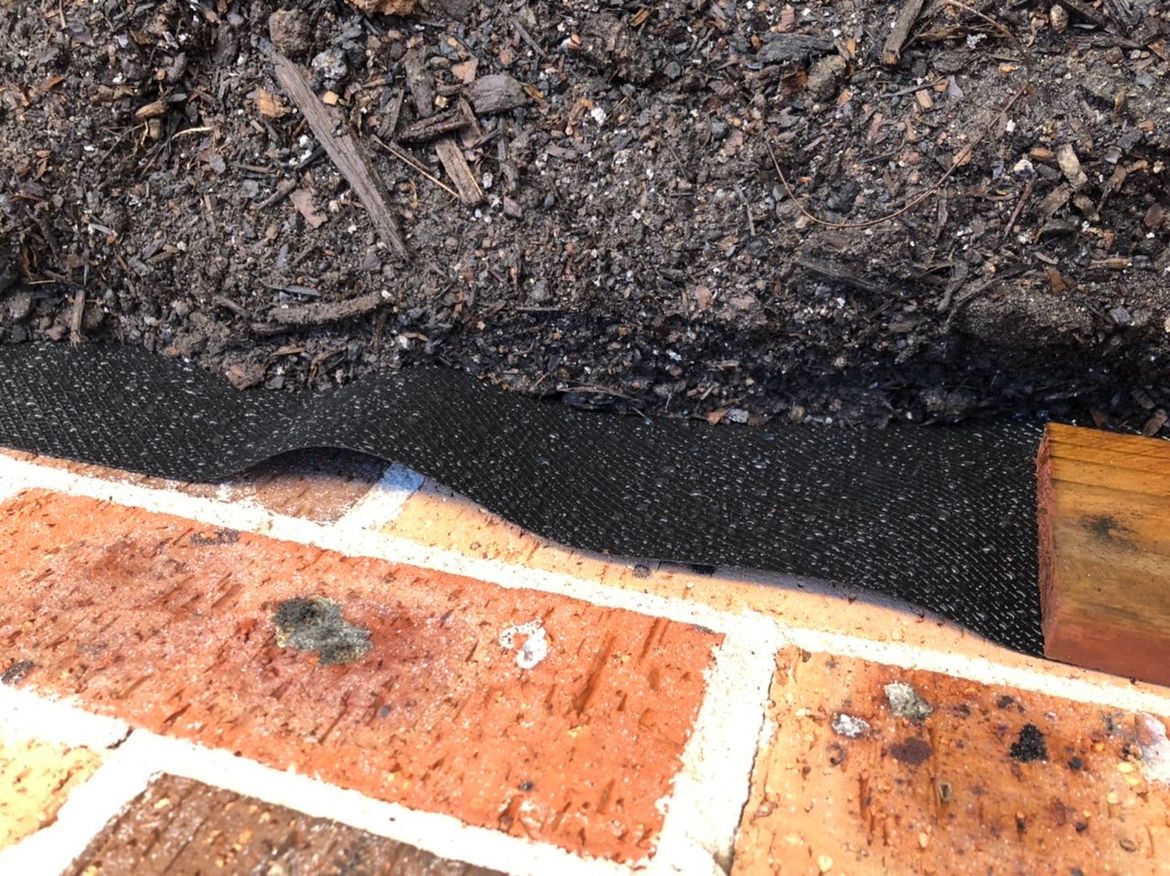 E1C3FC3B-E3A8-44E5-91C4-732A9BE51FD7.jpeg E1C3FC3B-E3A8-44E5-91C4-732A9BE51FD7.jpeg