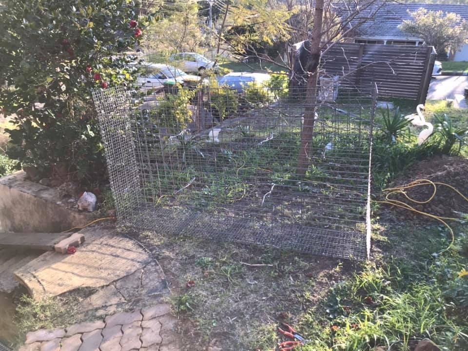 11 07-08-2021.jpg 11 07-08-2021.jpg