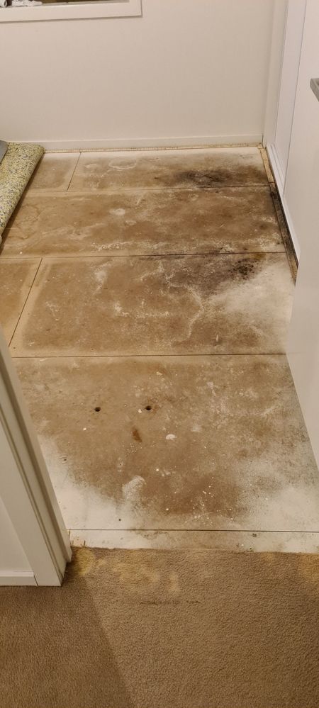 middle_room_carpet_off.jpg middle_room_carpet_off.jpg