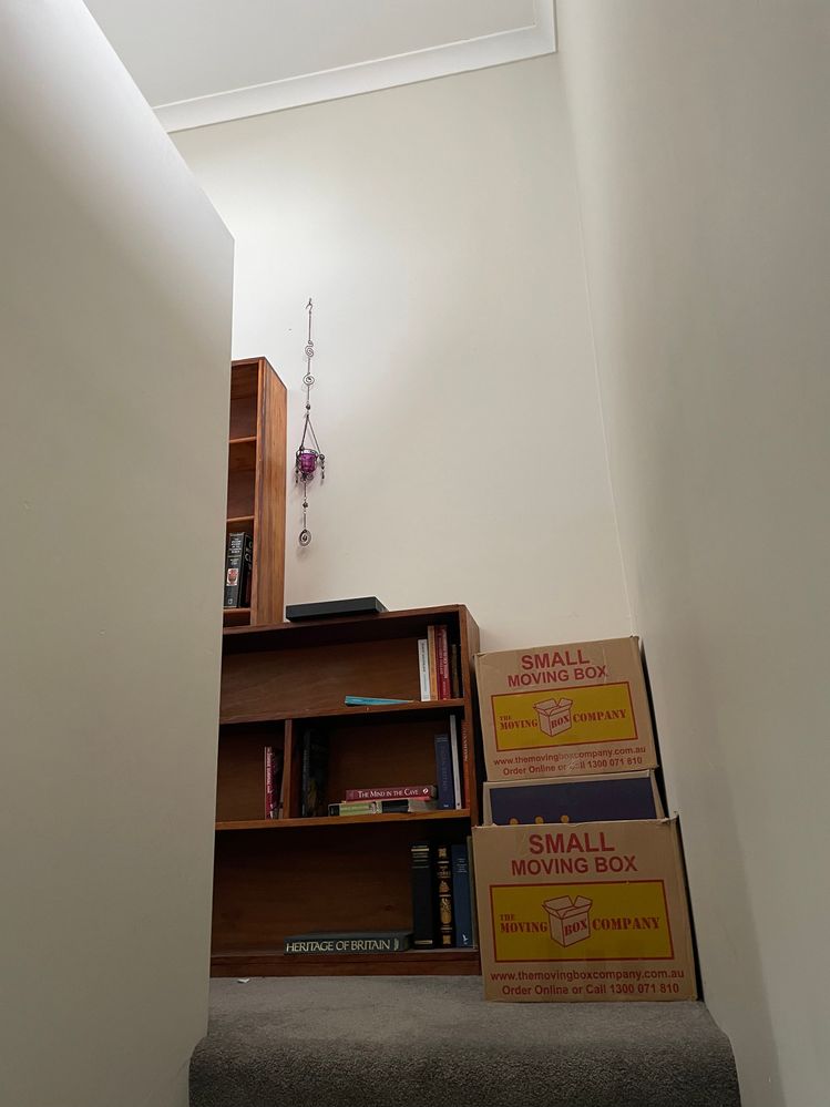 50E45CC4-E49C-4E40-989D-0595E1D65452.jpeg 50E45CC4-E49C-4E40-989D-0595E1D65452.jpeg