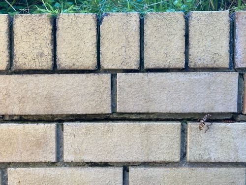 IMG_4913.jpeg IMG_4913.jpeg