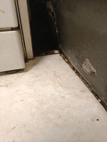 1000007359.jpg 1000007359.jpg