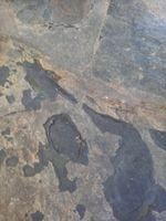 472494076_1757955608319011_8460613517154976511_n.jpg 472494076_1757955608319011_8460613517154976511_n.jpg