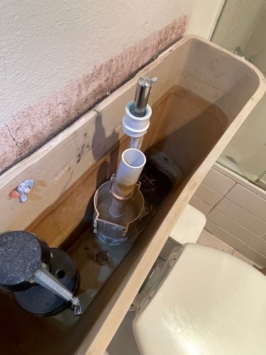 IMG_4809.jpeg IMG_4809.jpeg