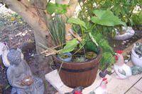 119098854_10224494789779959_3611840761058901884_n.jpg 119098854_10224494789779959_3611840761058901884_n.jpg