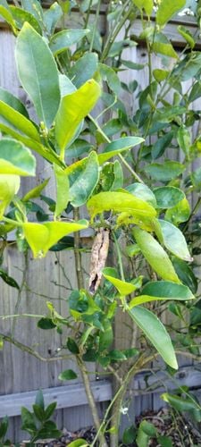 IMG_20250113_141835623_BURST000_COVER.jpg IMG_20250113_141835623_BURST000_COVER.jpg