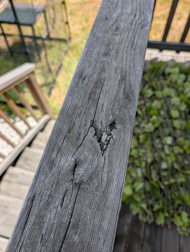 1000004769.jpg 1000004769.jpg